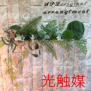 光触媒 人工観葉植物 抗菌消臭 ウォールグリーン5452(壁掛けミラー)