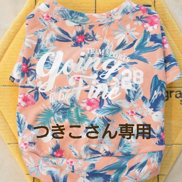 専用  as know as de wan Tシャツ2枚