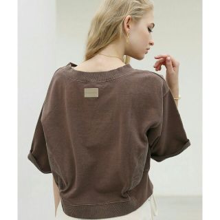 アリシアスタン(ALEXIA STAM)の【新品】ALEXIA STAM ショートスリーブスウェット 茶 Tシャツ(トレーナー/スウェット)