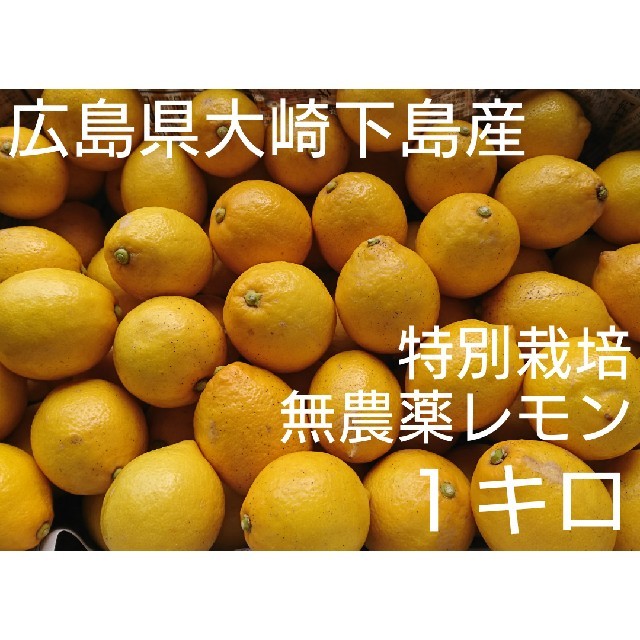 アロエ様専用 無農薬！広島県大崎下島産 特別栽培レモン １キロ 食品/飲料/酒の食品(フルーツ)の商品写真