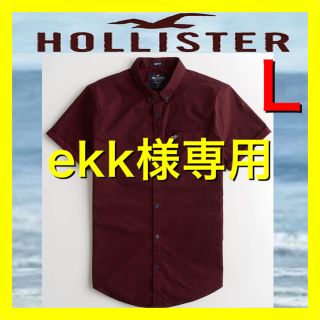 ホリスター(Hollister)の26ホリスター  HOLLISTER L オックスフォードシャツ 正規品　新品(シャツ)