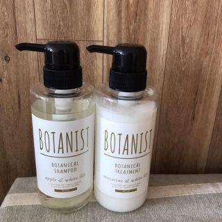 ボタニスト(BOTANIST)のBOTANISTボタニスト新品2点セット！シャンプー&トリートメント(モイスト)(シャンプー)