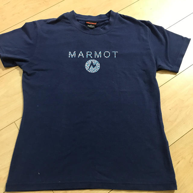 Mammut(マムート)のMarmot レディースTシャツ　M size レディースのトップス(Tシャツ(半袖/袖なし))の商品写真