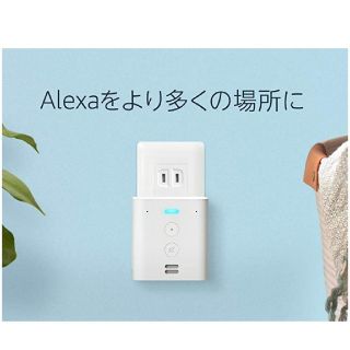 エコー(ECHO)のシェリマリ様専用　 EchoFLEX(その他)