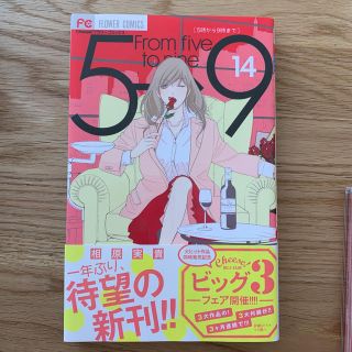 ５時から９時まで Ｆｒｏｍ　ｆｉｖｅ　ｔｏ　ｎｉｎｅ １４(少女漫画)