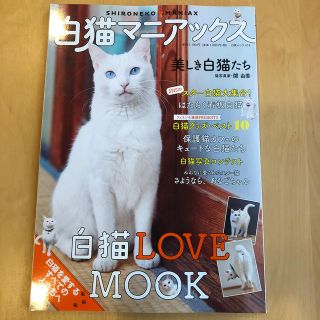 白猫マニアックス 白猫を愛するすべての人たちへ　白猫ＬＯＶＥＭＯＯＫ(住まい/暮らし/子育て)