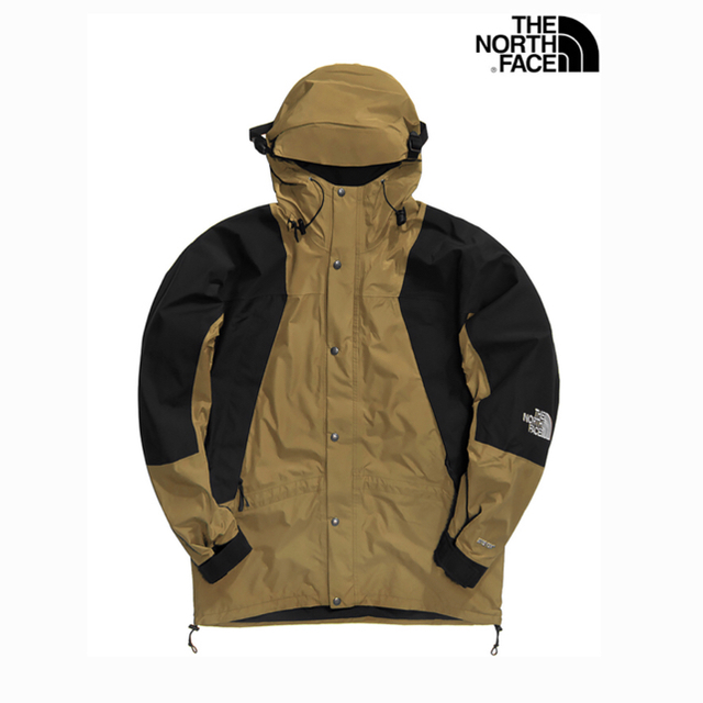 THE NORTH FACE(ザノースフェイス)のノースフェイス1994 Retro Mountain GTX Jacket メンズのジャケット/アウター(マウンテンパーカー)の商品写真