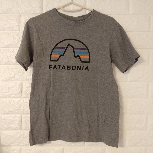 patagonia(パタゴニア)のパタゴニア　Tシャツ　 キッズ/ベビー/マタニティのキッズ服男の子用(90cm~)(Tシャツ/カットソー)の商品写真