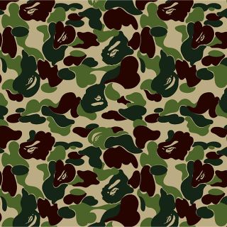 アベイシングエイプ(A BATHING APE)のシャークパーカー(パーカー)