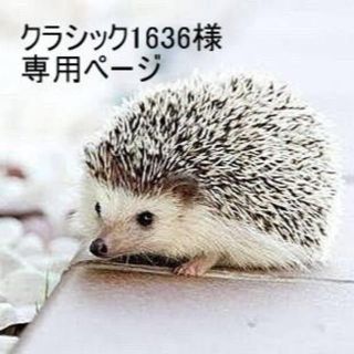 「クラシック1636様 専用ページ」(その他)