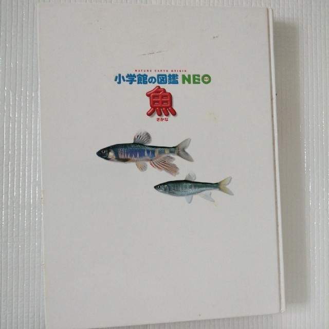 小学館(ショウガクカン)の小学館　図鑑　NEO 魚 エンタメ/ホビーの本(語学/参考書)の商品写真