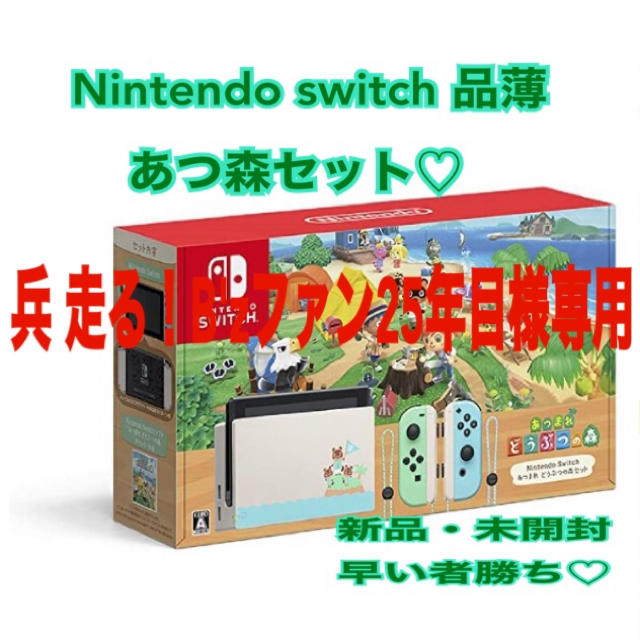 Nintendo Switch あつまれどうぶつの森セット 新品未開封品！