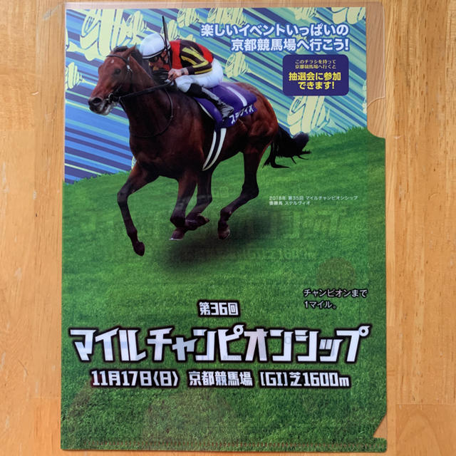 ※ 2019 京都競馬場 クリアファイル 2枚 エンタメ/ホビーのアニメグッズ(クリアファイル)の商品写真