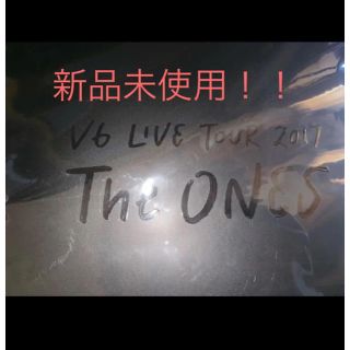 ブイシックス(V6)のV6 LIVE グッズ the ONES パンフレット(アイドルグッズ)