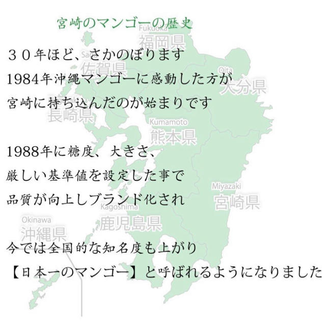 完熟マンゴー　宮崎産　農協品　8玉〜12玉　父の日　送料無料　市場直送　安い