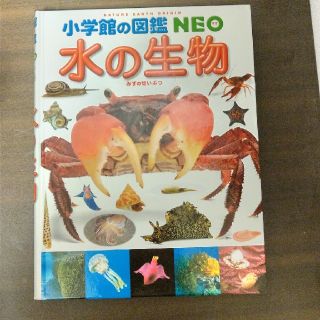 ショウガクカン(小学館)のmiiiii様専用 図鑑 水の生物 小学館(絵本/児童書)