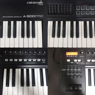 ローランド(Roland)のRoland A-500pro  MIDIキーボード※DP-10セット(MIDIコントローラー)