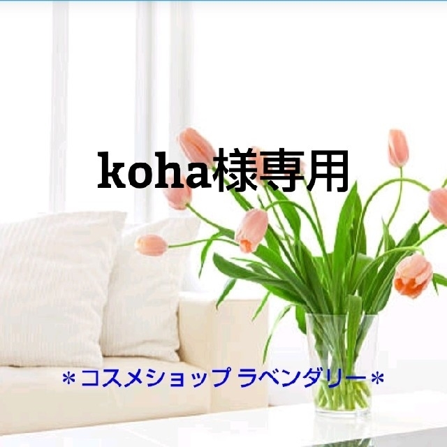 Koha様専用 stuff.liu.se