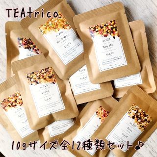 専用 10gサイズ全12点セット 食べれるお茶  (茶)