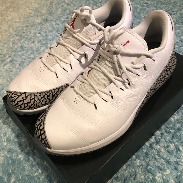 NIKE JORDAN ADG3 ゴルフGOLF ナイキ ジョーダン DUNK