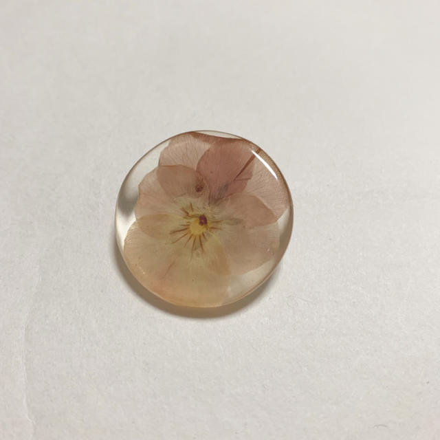 bulle de savon(ビュルデサボン)のkvell 樹脂ビオラブローチ レディースのアクセサリー(ブローチ/コサージュ)の商品写真