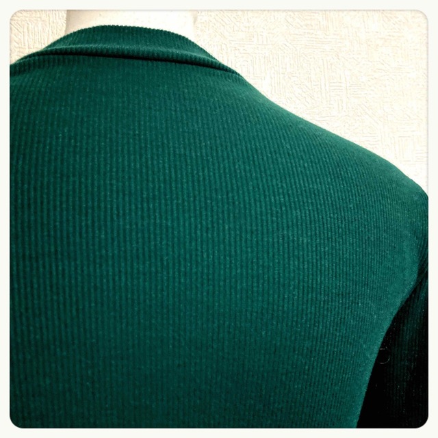 胸元 デコルテ レース リブカットソー 黒緑 長袖 トップス レディースのレディース その他(その他)の商品写真