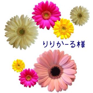 りりか-る様専用ページ(その他)