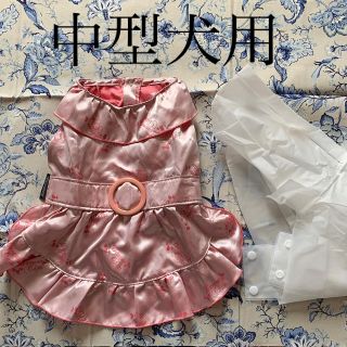 超豪華バナナチップスシフォンブラウスワンピ\u0026RONIジレ100人気30000円