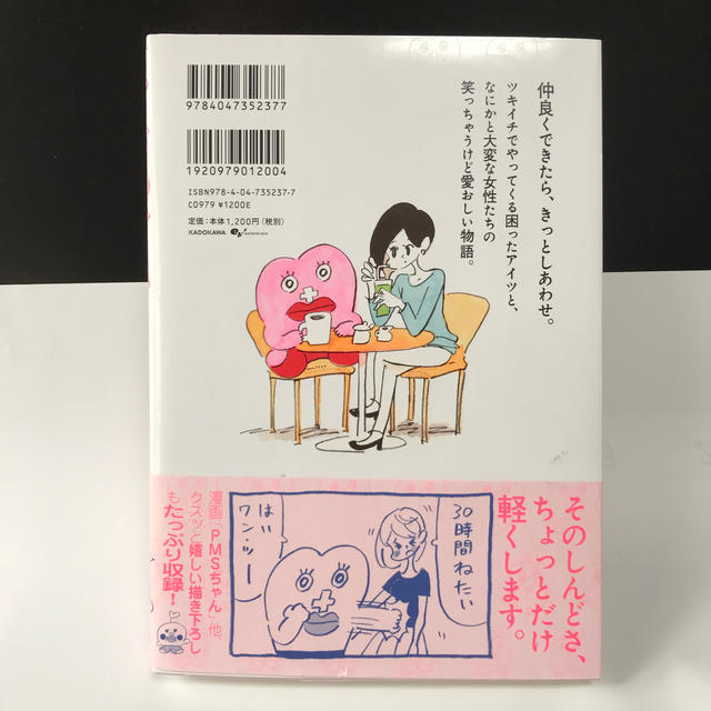 生理ちゃん エンタメ/ホビーの漫画(少女漫画)の商品写真