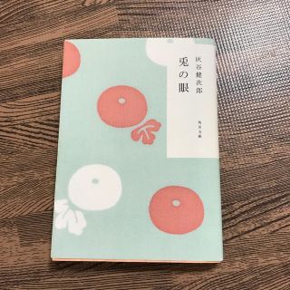 兎の眼(文学/小説)