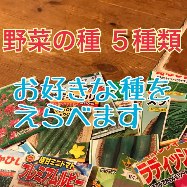 5月の種  野菜 ハーブ  ５種類えらべます 食品/飲料/酒の食品(野菜)の商品写真