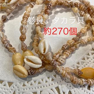 貝殻パーツ　アクセサリーパーツ　シェルネックレス2本　タカラ貝　巻貝(ネックレス)