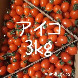 28日発送予定 アイコ3kg ミニトマト 農家直送(野菜)