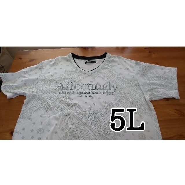 大きいサイズ Tシャツ 5L (28) メンズのトップス(Tシャツ/カットソー(半袖/袖なし))の商品写真