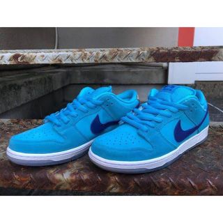 ナイキ(NIKE)のNIKE SB DUNK LOW PRO BLUE FURY(スニーカー)