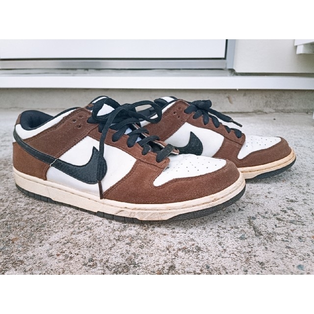 靴/シューズNIKE DUNK LOW PRO SB