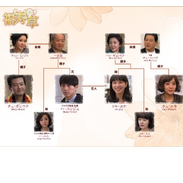 韓流ドラマ 福寿草 DVD全36巻 6fmVUjC4zL - www.lavitacenter.com.br