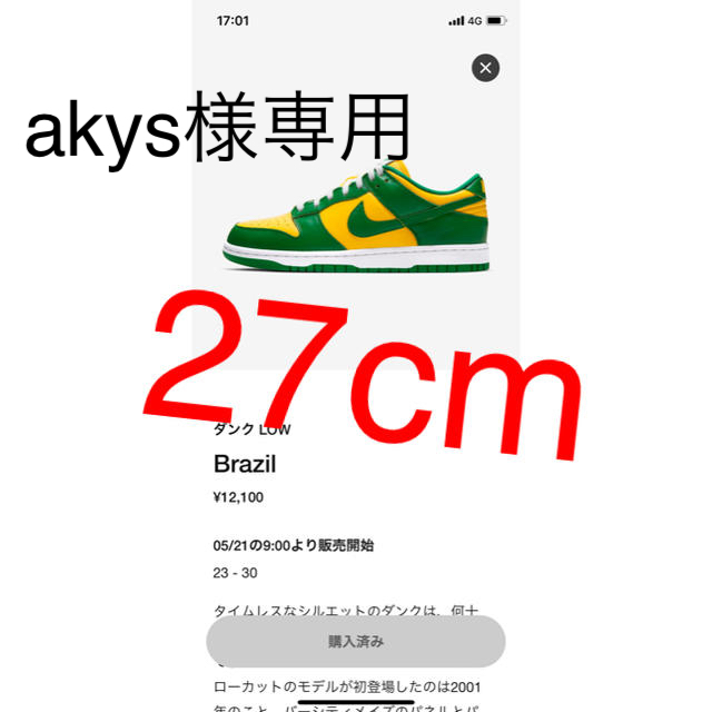 NIKE(ナイキ)のNike Dunk Low Brazil メンズの靴/シューズ(スニーカー)の商品写真