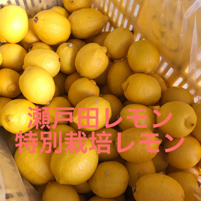 ☆安心の定価販売☆】 国産瀬戸田レモン農薬不使用7 国産瀬戸田レモン農薬不使用2