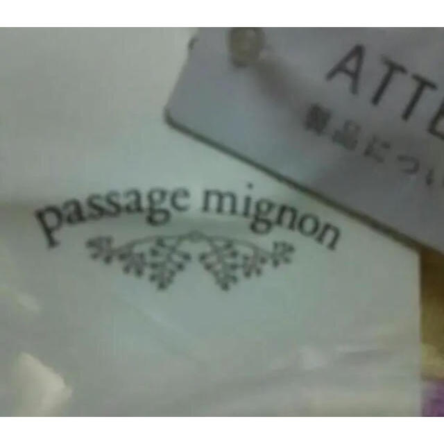 passage mignon(パサージュミニョン)のタオル地ポーチ 新品未開封 レディースのファッション小物(ポーチ)の商品写真