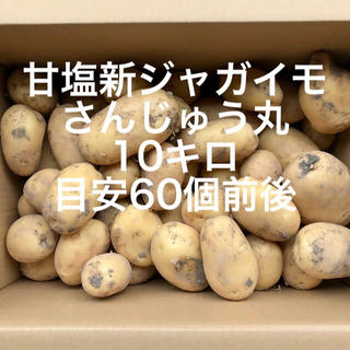 【鹿児島産】甘塩新ジャガイモ10キロ^_^(野菜)
