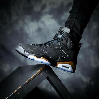 ナイキ(NIKE)のNIKE AIR JORDAN 6  DMP(スニーカー)