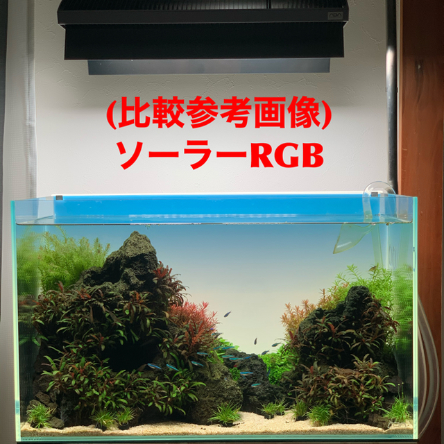 アクアスカイRGB60ブラック②魚用品・水草