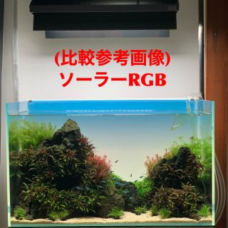 【新品/送料無料】限定　生産終了　ADA アクアスカイRGB 60 ブラック