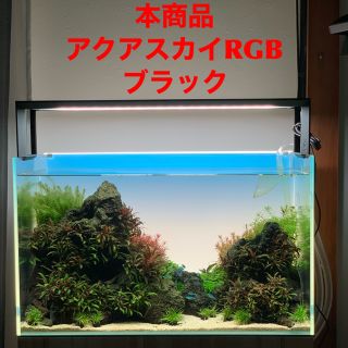 Aqua Design Amano - ADA アクアスカイ RGB 60 ブラックの通販 by