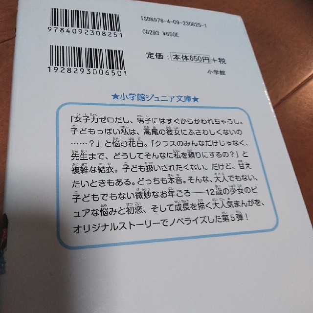 12歳(おとなでも、こどもでも)　小説版　 エンタメ/ホビーの本(文学/小説)の商品写真