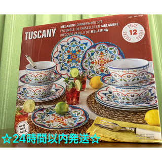コストコ(コストコ)のTUSCANY メラミン ディナーウェアー セット 12枚(食器)