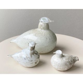 iittala - ライチョウの親 オイバ・トイッカ バード ヌータヤルヴィ