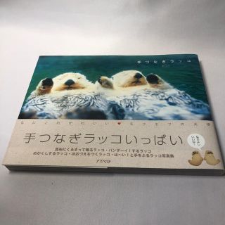 キョウガクシャ(教学社)の手つなぎラッコ(科学/技術)