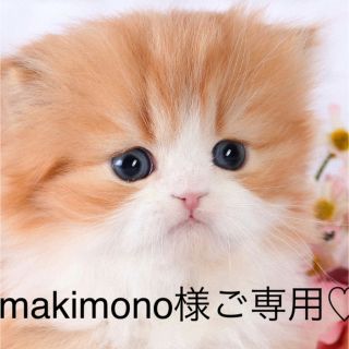 エイボン(AVON)の★シマーパウダー★新品(フェイスパウダー)